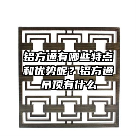 鋁方通有哪些特點和優(yōu)勢呢？鋁方通吊頂有什么